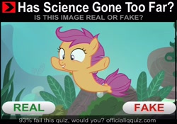 Size: 1926x1348 | Tagged: safe, edit, edited screencap, screencap, character:scootaloo, species:pegasus, species:pony, species:seapony (g4), episode:surf and/or turf, g4, my little pony: friendship is magic, cute, cutealoo, discovery family logo, female, has science gone too far?, meme, real or fake, sea-mcs, seaponified, seapony scootaloo, solo, species swap