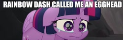 Size: 1905x635 | Tagged: safe, edit, edited screencap, screencap, character:twilight sparkle, character:twilight sparkle (alicorn), species:alicorn, species:pony, my little pony: the movie (2017), abuse, crying, egghead, female, sad, solo, teary eyes, twilybuse