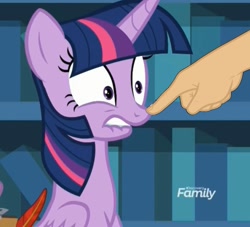 Size: 1024x929 | Tagged: safe, edit, edited screencap, screencap, character:twilight sparkle, character:twilight sparkle (alicorn), species:alicorn, species:pony, episode:horse play, g4, my little pony: friendship is magic, boop, boop edit, cropped, discovery family logo, disembodied hand, finger, hand, non-consensual booping, quill, solo focus