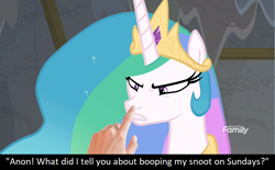 Size: 960x595 | Tagged: safe, edit, edited screencap, screencap, character:princess celestia, oc, oc:anon, species:human, species:pony, episode:horse play, g4, my little pony: friendship is magic, angry, annoyed, boop, boop edit, bronybait, caption, celestia is not amused, discovery family logo, hand, meta, non-consensual booping, sillestia, silly, silly pony, text, this will end in a trip to the moon, this will end in pain, unamused