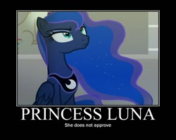 Size: 750x600 | Tagged: safe, edit, edited screencap, screencap, character:princess luna, species:alicorn, species:pony, episode:horse play, g4, my little pony: friendship is magic, female, luna is not amused, mare, motivational poster, sitting, solo focus, unamused