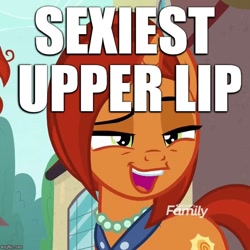 Size: 600x600 | Tagged: safe, edit, edited screencap, screencap, character:stellar flare, episode:the parent map, g4, cropped, image macro, lips, meme, mother, sexy, solo, stellar milf, upper lip