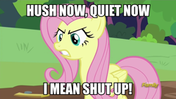 Size: 960x538 | Tagged: safe, edit, edited screencap, screencap, character:fluttershy, species:pony, episode:fluttershy leans in, g4, my little pony: friendship is magic, angry, discovery family logo, female, hush now quiet now, image macro, meme, shut up, solo