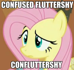 Size: 341x324 | Tagged: safe, edit, edited screencap, screencap, character:fluttershy, species:pegasus, species:pony, episode:stare master, g4, my little pony: friendship is magic, artifact, confluttershy, confused, female, image macro, mare, portmanteau, reaction image, roflbot, solo