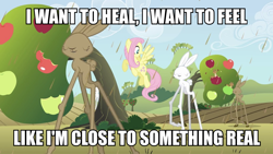 Size: 960x540 | Tagged: safe, edit, edited screencap, screencap, character:fluttershy, species:pegasus, species:pony, species:rabbit, episode:the return of harmony, g4, my little pony: friendship is magic, animal, apple, apple tree, chaos, chocolate, chocolate rain, female, food, giant apple, girabbit, image macro, linkin park, mare, meme, rain, somewhere i belong, song reference, squirrel, sweet apple acres, tree