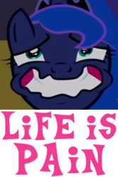 Size: 278x418 | Tagged: safe, edit, edited screencap, screencap, character:princess luna, episode:a royal problem, g4, my little pony: friendship is magic, caption, cropped, expand dong, exploitable meme, faec, female, forced smile, image macro, meme, solo