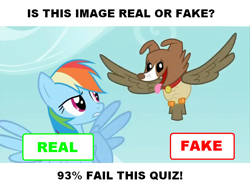 Size: 852x647 | Tagged: safe, edit, edited screencap, screencap, character:owlowiscious, character:rainbow dash, character:winona, species:pegasus, species:pony, episode:may the best pet win, g4, my little pony: friendship is magic, allpet, flying, image macro, parody