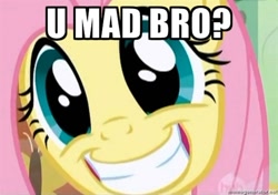 Size: 500x351 | Tagged: safe, edit, edited screencap, screencap, character:fluttershy, species:pegasus, species:pony, female, grin, image macro, mare, smiling, solo, u mad