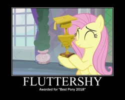Size: 750x600 | Tagged: safe, edit, edited screencap, screencap, character:fluttershy, episode:non-compete clause, g4, my little pony: friendship is magic, award, best pony, female, motivational poster, solo, trophy
