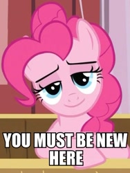 Size: 451x601 | Tagged: safe, edit, edited screencap, screencap, character:pinkie pie, species:earth pony, species:pony, episode:the last roundup, g4, my little pony: friendship is magic, female, image macro, lidded eyes, mare, meme, reaction image, smiling, solo, you must be new here