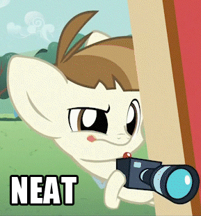 Size: 289x310 | Tagged: safe, edit, edited screencap, screencap, character:featherweight, species:pegasus, species:pony, episode:ponyville confidential, g4, my little pony: friendship is magic, animated, camera, colt, gif, male, neat, reaction image, solo