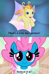 Size: 468x702 | Tagged: safe, edit, edited screencap, screencap, character:seabreeze, character:zipzee, species:breezies, episode:it ain't easy being breezies, episode:the runaway rainbow, g3, g4, my little pony: friendship is magic, cropped, cute, diabreezies, diazipzees, flower, picture for breezies (reaction image), reaction image, text