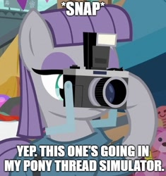 Size: 500x532 | Tagged: safe, edit, edited screencap, screencap, character:maud pie, episode:the gift of the maud pie, g4, my little pony: friendship is magic, camera, cringe compilation, cropped, exploitable meme, female, image macro, meme, pony thread simulator, solo