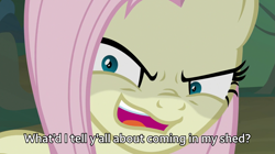 Size: 1823x1024 | Tagged: safe, edit, edited screencap, screencap, character:fluttershy, character:mean fluttershy, species:pegasus, species:pony, .mov, episode:the mean 6, g4, my little pony: friendship is magic, caption, clone, female, fluttershed, image macro, mare, meme, shed.mov, solo, y'all