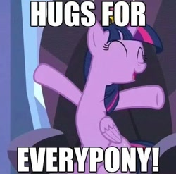 Size: 580x573 | Tagged: safe, edit, edited screencap, screencap, character:twilight sparkle, character:twilight sparkle (alicorn), species:alicorn, species:pony, episode:equestria games, g4, my little pony: friendship is magic, bronybait, cropped, dialogue, female, hug time, huggable, run away, solo, watch out