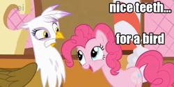 Size: 636x318 | Tagged: safe, edit, edited screencap, screencap, character:gilda, character:pinkie pie, species:earth pony, species:griffon, species:pony, episode:griffon the brush-off, g4, my little pony: friendship is magic, beak teeth, duo, female, image macro, mare, teeth
