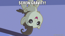 Size: 800x450 | Tagged: safe, edit, edited screencap, screencap, character:pound cake, species:pegasus, species:pony, episode:baby cakes, g4, my little pony: friendship is magic, asdfmovie, foal, image macro, male, meme, screw gravity, solo, upside down