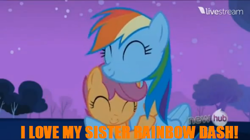 Size: 640x358 | Tagged: safe, edit, edited screencap, screencap, character:rainbow dash, character:scootaloo, species:pegasus, species:pony, friendship is witchcraft, episode:sleepless in ponyville, g4, my little pony: friendship is magic, hub logo, hug, image macro, livestream, scootalove