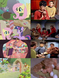 Size: 2130x2827 | Tagged: safe, edit, edited screencap, screencap, character:fluttershy, character:spike, character:twilight sparkle, character:twilight sparkle (unicorn), species:human, species:pegasus, species:pony, species:unicorn, episode:swarm of the century, g4, my little pony: friendship is magic, season 1, book, comparison, cropped, cute, enterprise, female, fluttershy's cottage, golden oaks library, infestation, james t kirk, library, mare, montgomery scott, nyota uhura, parasprite, pavel chekov, reference, shout out, shyabetes, side by side, space station, space station k7, spock, star trek, star trek (tos), sugarcube corner, the trouble with tribbles, tree, tribble, twiabetes, twilight's castle, twilight's castle library, uhura