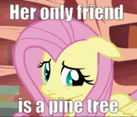 Size: 200x171 | Tagged: safe, edit, edited screencap, screencap, character:fluttershy, species:pegasus, species:pony, episode:bridle gossip, g4, my little pony: friendship is magic, animated, awkward, cropped, cute, female, gif, golden oaks library, library, mare, monty python, puppy dog eyes, shyabetes, solo, text