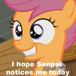 Size: 467x466 | Tagged: safe, edit, edited screencap, screencap, character:scootaloo, species:pegasus, species:pony, episode:sleepless in ponyville, g4, my little pony: friendship is magic, dialogue, female, hub logo, image macro, senpai, solo