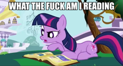 Size: 599x323 | Tagged: safe, edit, edited screencap, screencap, character:twilight sparkle, character:twilight sparkle (unicorn), species:pony, species:unicorn, episode:friendship is magic, g4, my little pony: friendship is magic, book, book of harmony, female, image macro, mare, meme, reaction image, reading, solo, vulgar, what the fuck am i reading