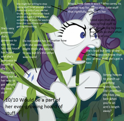 Size: 1110x1085 | Tagged: safe, edit, edited screencap, screencap, character:mean rarity, species:pony, species:unicorn, episode:the mean 6, g4, my little pony: friendship is magic, 10/10, analysis, bronybait, clone, cropped, faec, female, mare, solo, text