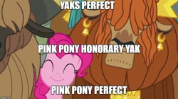 Size: 888x499 | Tagged: safe, edit, edited screencap, screencap, character:pinkie pie, character:prince rutherford, species:yak, episode:not asking for trouble, g4, my little pony: friendship is magic, cute, image macro, logic, meme, syllogism