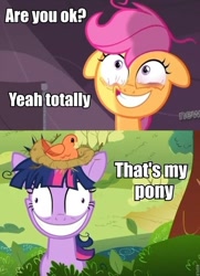 Size: 500x689 | Tagged: safe, edit, edited screencap, screencap, character:scootaloo, character:twilight sparkle, species:bird, species:pegasus, species:pony, episode:lesson zero, episode:sleepless in ponyville, g4, my little pony: friendship is magic, bags under eyes, bird nest, bloodshot eyes, faec, snappleloo, that's my x, twilight snapple