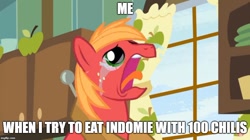 Size: 888x499 | Tagged: safe, edit, edited screencap, screencap, character:big mcintosh, species:earth pony, species:pony, episode:the break up break down, chili, crying, freckles, hot, image macro, indomie, meme, screaming, spicy