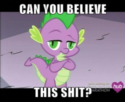 Size: 500x409 | Tagged: safe, edit, edited screencap, screencap, character:spike, species:dragon, episode:simple ways, g4, my little pony: friendship is magic, crossed arms, hub logo, image macro, looking at you, male, meme, reaction image, solo, the hub, unamused, vulgar
