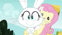 Size: 960x540 | Tagged: safe, edit, edited screencap, screencap, character:angel bunny, character:fluttershy, species:rabbit, equestria girls:friendship games, g4, my little pony: equestria girls, my little pony:equestria girls, adorawat, blessed image, blursed image, cursed image, cute, face swap, female, hilarious in hindsight, male, wat