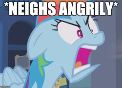 Size: 693x499 | Tagged: safe, edit, edited screencap, screencap, character:rainbow dash, species:pegasus, species:pony, episode:parental glideance, g4, my little pony: friendship is magic, cropped, descriptive noise, female, horses doing horse things, image macro, meme, neigh, rainbow dash is best facemaker, solo
