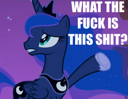 Size: 900x700 | Tagged: safe, edit, edited screencap, screencap, character:princess luna, caption, female, image macro, meme, reaction image, solo, text, vulgar, what the fuck is this shit