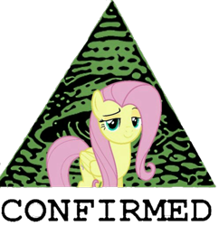 Size: 968x998 | Tagged: safe, edit, edited screencap, screencap, character:fluttershy, confirmed, female, illuminati, simple background, smug, solo, transparent background, x-files