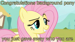 Size: 1600x900 | Tagged: safe, edit, edited screencap, screencap, character:fluttershy, species:pegasus, species:pony, episode:putting your hoof down, g4, my little pony: friendship is magic, dreamworks face, female, flutterbitch, image macro, mare, meme, new fluttershy, raised eyebrow, reaction image, smug, solo, trollface
