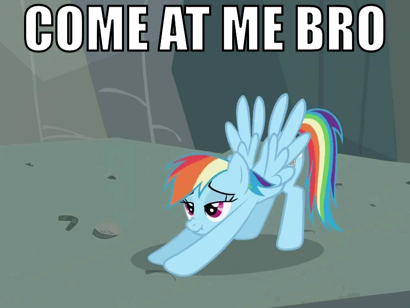 Size: 800x600 | Tagged: safe, edit, edited screencap, screencap, character:rainbow dash, episode:may the best pet win, g4, my little pony: friendship is magic, animated, come at me bro, cropped, female, image macro, solo, stretching