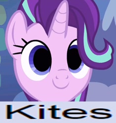 Size: 809x862 | Tagged: safe, edit, edited screencap, screencap, character:starlight glimmer, species:pony, species:unicorn, caption, empty eyes, expand dong, exploitable meme, image macro, kite, meme, no catchlights, smiling, that pony sure does love kites