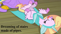 Size: 1152x640 | Tagged: safe, edit, edited screencap, screencap, character:gallus, character:silverstream, episode:horse play, episode:what lies beneath, g4, my little pony: friendship is magic, cloak, clothing, costume, cropped, cute, diastreamies, fake ears, fake horn, gallabetes, silverstream does loves indoor plumbing, sleeping, text, that hippogriff sure does love indoor plumbing, that hippogriff sure does love stairs, tongue out