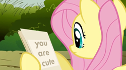 Size: 956x536 | Tagged: safe, edit, screencap, character:fluttershy, episode:putting your hoof down, g4, my little pony: friendship is magic, cute, fact, female, message, shyabetes, solo, truth
