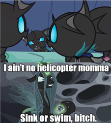 Size: 640x708 | Tagged: safe, edit, edited screencap, screencap, character:queen chrysalis, character:thorax, species:changeling, episode:the times they are a changeling, episode:to change a changeling, g4, my little pony: friendship is magic, caption, cell (dbz), changeling queen, dragonball z abridged, female, image macro, meme, perfect cell, text, tough love, vulgar