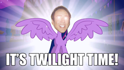 Size: 1280x720 | Tagged: safe, edit, edited screencap, screencap, character:twilight sparkle, character:twilight sparkle (alicorn), species:alicorn, species:pony, episode:magical mystery cure, episode:twilight time, g4, my little pony: friendship is magic, caged, image macro, inside joke, meme, nicolas cage