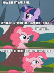Size: 711x960 | Tagged: safe, edit, edited screencap, screencap, character:pinkie pie, character:twilight sparkle, species:earth pony, species:pony, species:unicorn, episode:feeling pinkie keen, g4, my little pony: friendship is magic, comic, dialogue, disney, duo, duo female, elephant, female, forgetful, idiocy, image macro, literal, mare, meme, parody, pinkie being pinkie, pumbaa, the lion king, timon, timon and pumbaa, trolling, uganda be an elephant