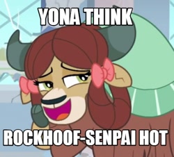 Size: 430x388 | Tagged: source needed, useless source url, safe, edit, edited screencap, screencap, character:rockhoof, character:yona, species:yak, episode:a rockhoof and a hard place, g4, my little pony: friendship is magic, bedroom eyes, bow, cloven hooves, crush, female, hair bow, image macro, implied rockhoof, meme, monkey swings, school of friendship, senpai, solo, text, yonahoof