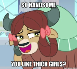 Size: 600x539 | Tagged: safe, edit, edited screencap, screencap, character:yona, episode:a rockhoof and a hard place, g4, my little pony: friendship is magic, image macro, meme