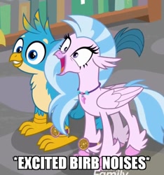 Size: 594x634 | Tagged: safe, edit, edited screencap, screencap, character:gallus, character:silverstream, species:bird, species:classical hippogriff, species:griffon, species:hippogriff, episode:a matter of principals, g4, my little pony: friendship is magic, adorable face, beak, birb, claws, cute, descriptive noise, diastreamies, discovery family logo, duo, duo male and female, excited, female, gallabetes, happy, horsebird, image macro, jewelry, male, meme, necklace, smiling, standing, teenager, wings