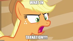 Size: 888x499 | Tagged: safe, edit, edited screencap, screencap, character:applejack, species:earth pony, species:pony, angry, female, image macro, mare, meme, reaction image, solo, what in tarnation