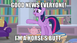 Size: 600x337 | Tagged: safe, edit, edited screencap, screencap, character:ocellus, character:twilight sparkle, character:twilight sparkle (alicorn), species:alicorn, species:pony, episode:what lies beneath, g4, my little pony: friendship is magic, bookshelf, disguise, disguised changeling, female, futurama, image macro, mare, meme, solo, teapot