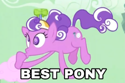 Size: 811x540 | Tagged: safe, edit, edited screencap, screencap, character:screwball, episode:the return of harmony, g4, my little pony: friendship is magic, best pony, cropped, floating, image macro, meme, solo