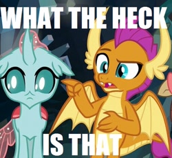 Size: 507x465 | Tagged: safe, edit, edited screencap, screencap, character:ocellus, character:smolder, species:changedling, episode:what lies beneath, g4, my little pony: friendship is magic, cropped, duo focus, image macro, meme, reaction image, what the fuck is this shit